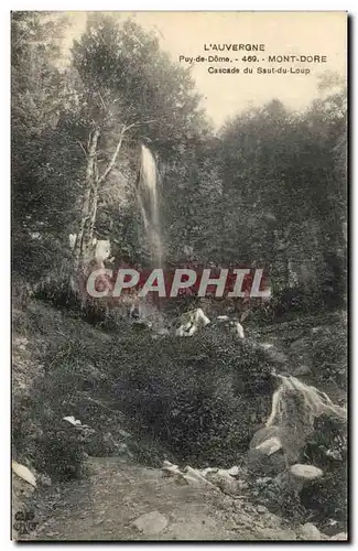 Le Mont Dore - Cascade du Saut de Loup - Ansichtskarte AK