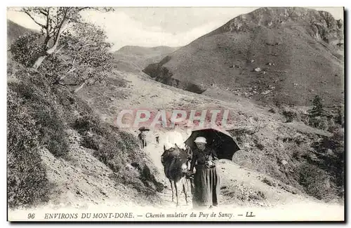 Mont Dore - Chemin de Muletier de Puy de Sancy - ane - donkey - Ansichtskarte AK