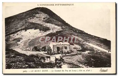 Cartes postales Auvergne Le mont dore Le sommet du Puy de Sancy (ane donkey)