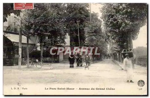 Paris 12 - Parc Saint Maur - Avenue du Grand Chene - Velo - chien - do Cartes postales