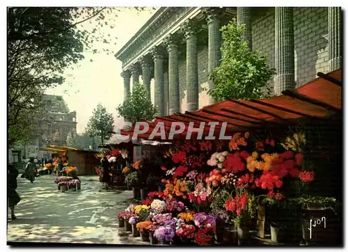 Paris 8 - Marche aux Fleurs de la Madeleine Ansichtskarte AK