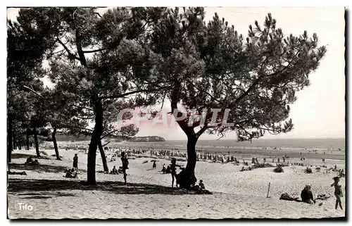 Saint Georges de Didonne Cartes postales La plage devant la foret La pointe de Suzac