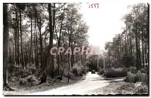 Ile d&#39oleron Ansichtskarte AK Route en foret de pins