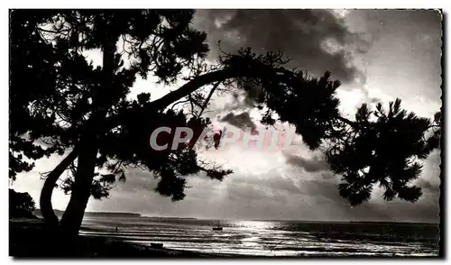 Ile d&#39Oleron - Coucher du Soleil sur l&#39Ocean Lorsque la Nature se rit L&#39eau - Cartes postales