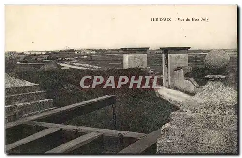 Ile D&#39aix - Vue du Bois Joly - Cartes postales