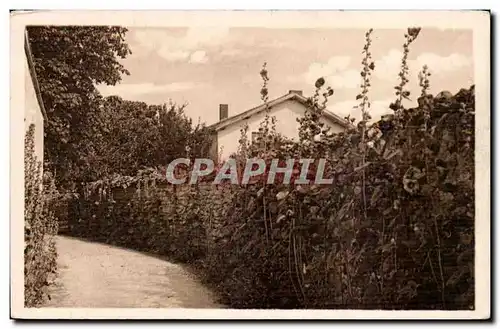 Cartes postales Talmont sur Gironde Une rue fleurie