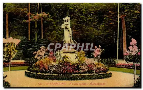 Cartes postales Strasbourg a l'orangerie Ganseltesel