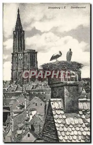 Strasbourg Cartes postales Storchennest Nid de cigognes