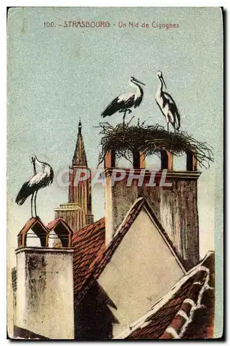 Cartes postales Strasbourg Nid de cigognes