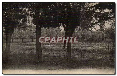 Ribeauville Cartes postales Les champs