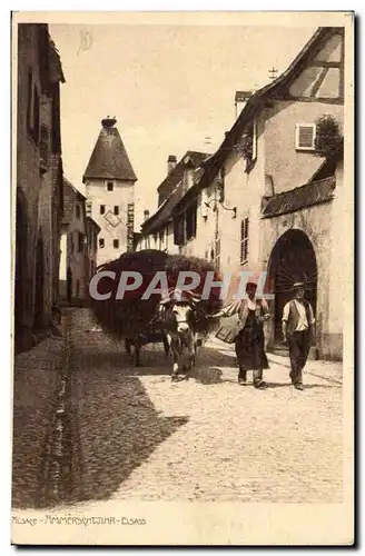 Ammerschwihr Cartes postales Attelage de boeufs