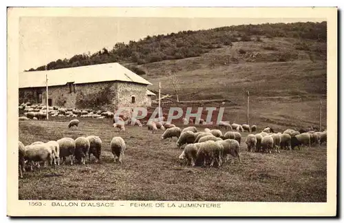 Ballon d&#39Alsace - Ferme de la Jumenterie - Cartes postales