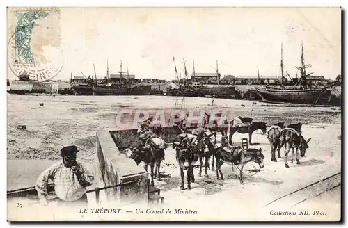 Le Treport - Un Conseil de Ministres - Ane - donkey - Cartes postales