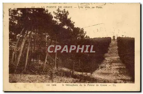 Pointe du Grave Cartes postales Une allee en foret Vue vers le semaphore