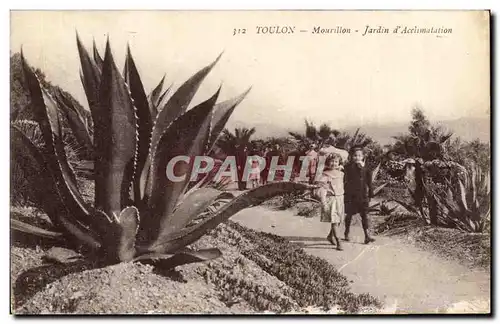 Toulon Cartes postales Mourillon Jardin d'acclimatation