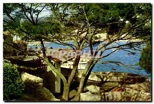 Sanary sur Mer Cartes postales A l&#39abri sous les pins Regards vers le port