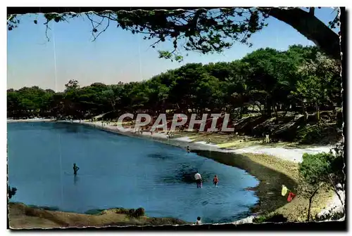 Ile de Porquerolles Cartes postales La plage d&#39argent