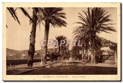 Hyeres les palmiers Ansichtskarte AK Avenue Godillot