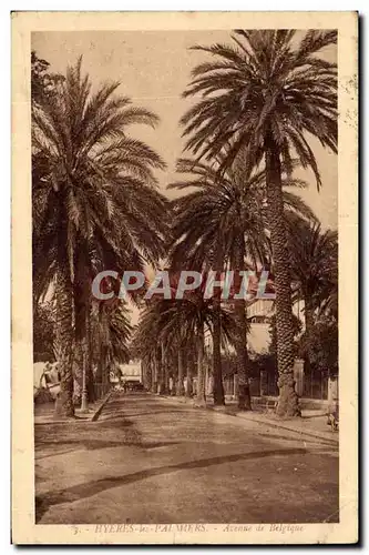 Hyeres les palmiers Cartes postales Avenue de Belgique