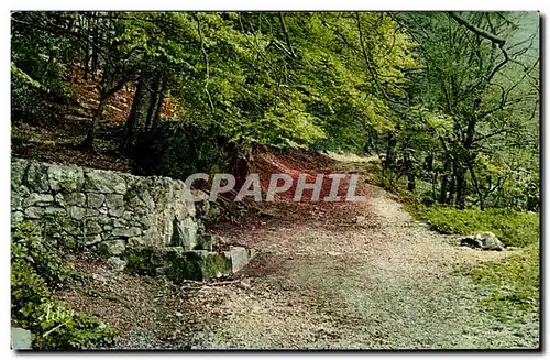 Ansichtskarte AK Hotellerie et grotte de la Sainte Baume St Zacharie