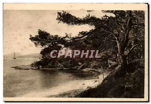 Les iles d&#39Hyeres Cartes postales Porquerolles La plage d&#39argent