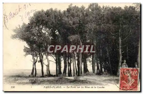 Le Touquet Paris Plage - La Foret sur les Rives de la Cauche - Cartes postales