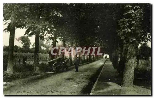 Bethune - L'Allee des Marronniers - Chesnut Trees - Cartes postales