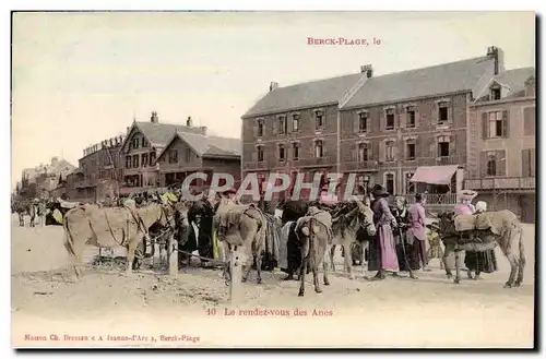 Berck Plage - Le Rendez Vous des Anes - Donkey - Ansichtskarte AK