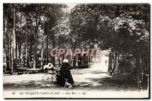 Le Touquet Paris Plage - Sous Bois - velo - chien - dog - Ansichtskarte AK