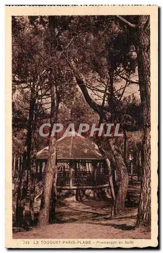 Le Touquet Paris Plage - Promenade en Foret - Cartes postales