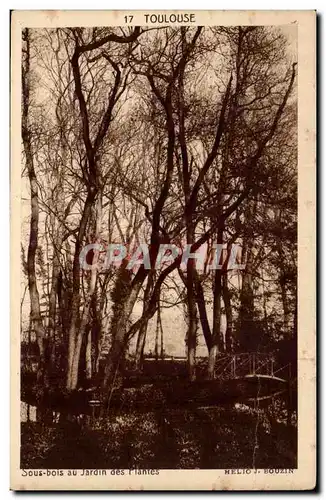 Toulouse - Sous bois au Jardin des Plantes - Cartes postales