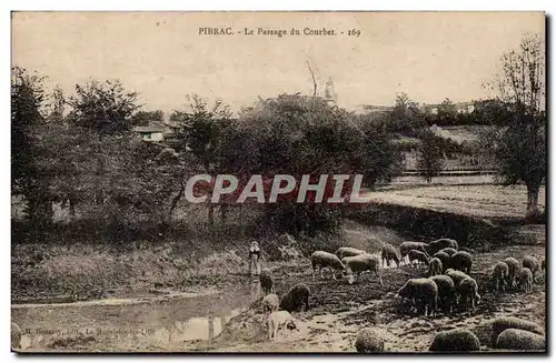 Pibrac - Le Passage du Courbet - mouton - sheep - Cartes postales