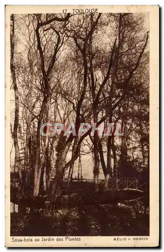 Toulouse - Sous Bois au Jardin des Plantes Cartes postales