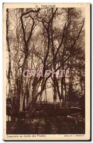 Toulouse - Sous bois au Jardin des Plantes Cartes postales