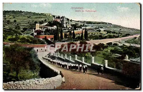 Israel - Jerusalem - Jardin de Gethsemani - Ansichtskarte AK