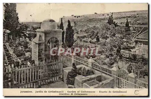 Israel - Jerusalem - Jardin de Gethsemanie - Garden of Gethsemane- Ansichtskarte AK