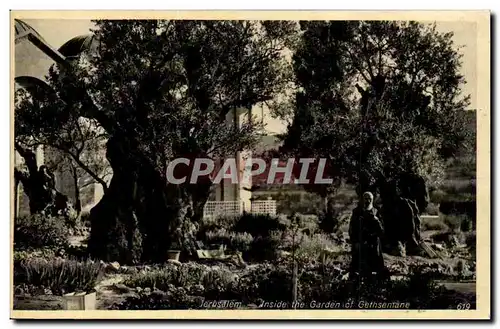 Israel - Jerusalem - Inside the Garden of Gethsemane Cartes postales