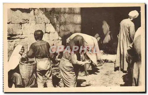 Israel - Jerusalem - Le Marche aux Legumes - The Vegetable Market - Ansichtskarte AK