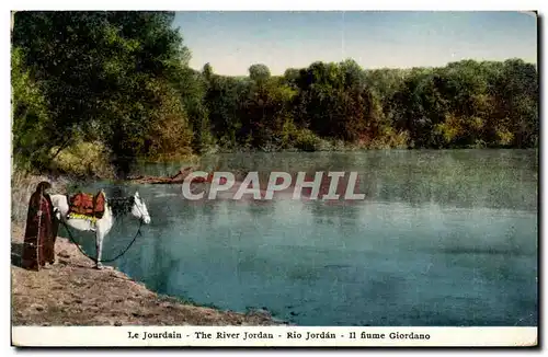 Israel - The Jordan River - La Jourdain - Rio Jordan - cheval - horse - Ansichtskarte AK