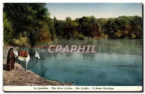 Israel - The Jordan River - La Jourdain - Rio Jordan - cheval - horse - Cartes postales