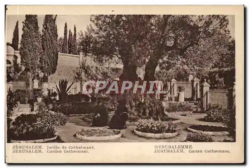 Israel - Jerusalem - Jardin du Gethsemane - - Garden of Gethsemane - Ansichtskarte AK