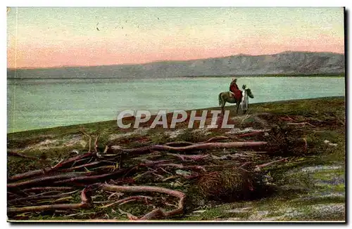 Israel - The Dead Sea - La Mer Morte - Todes Meer - Cheval - Horse - Cartes postales