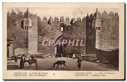 Israel - Jerusalem - La Porte de Damas - Gate of Damascus - ane - donkey - Ansichtskarte AK