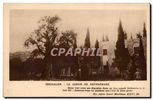 Israel - Jerusalem - Le Jardin de Gethsemane - Cartes postales