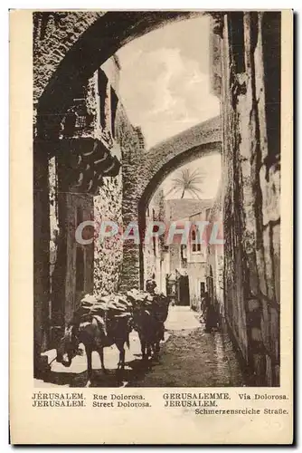 Israel - Rue Dolorosa - Street - Ane - Donkey - Cartes postales