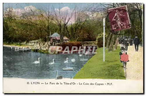 Lyon - Le Parc de la Tete D&#39or - Le Coin des Cygnes - Swans - Ansichtskarte AK