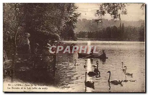 Lyon - Parc de la Tete D&#39Or - La Buvette et le Lac - bateau - boat - cygnes - swans - Ansichtskarte AK