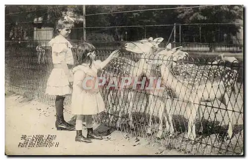 Lyon - Parc de la Tete d&#39Or - Enfant - foan - fawn - deer - - Cartes postales