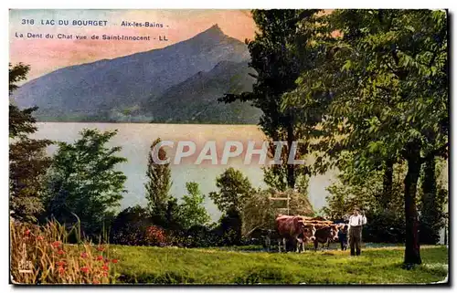 Aix les Bains - Lac du Bourget - Dent du Chat vue de Saint Innocent - Cartes postales (attelage de boeufs)