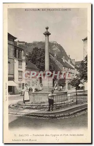 Salins - Fontaines des Cygnes et Fort Saint Andre - Cartes postales